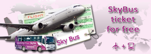 sky bus